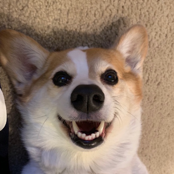 Meet your Posher, Minaminami - Picture 1 of 1